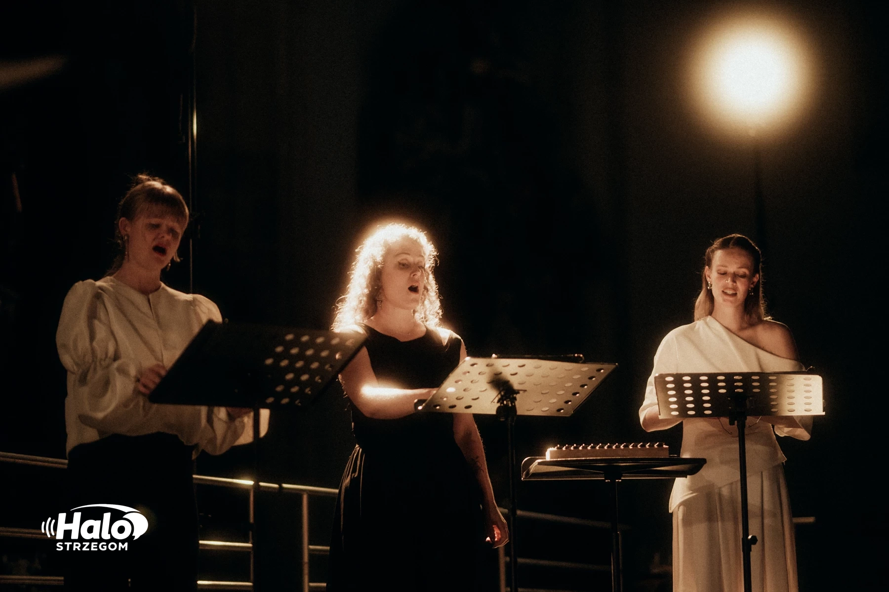 Strzegom A Cappella 2026 - relacja, zdjęcie 123