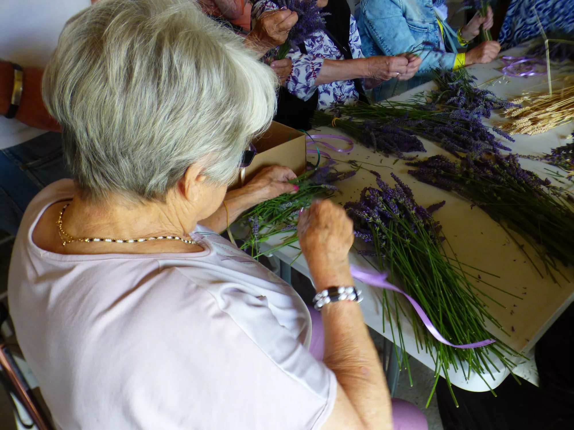 Fioletowy relaks u stóp Gór Sowich. Strzegomscy seniorzy z wizytą na plantacji lawendy - zdjęcie 13