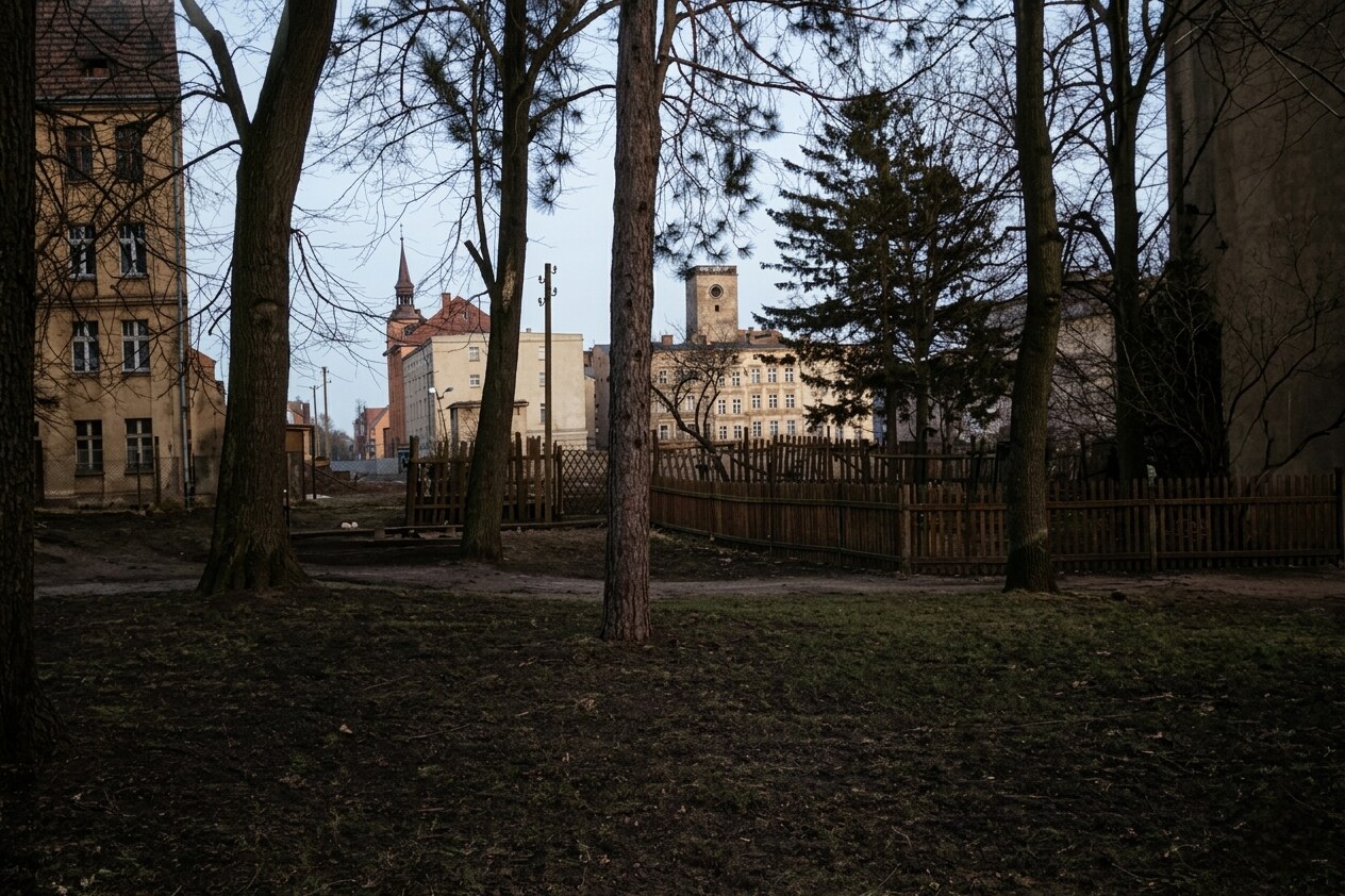 Archiwalna fotografia Strzegomia