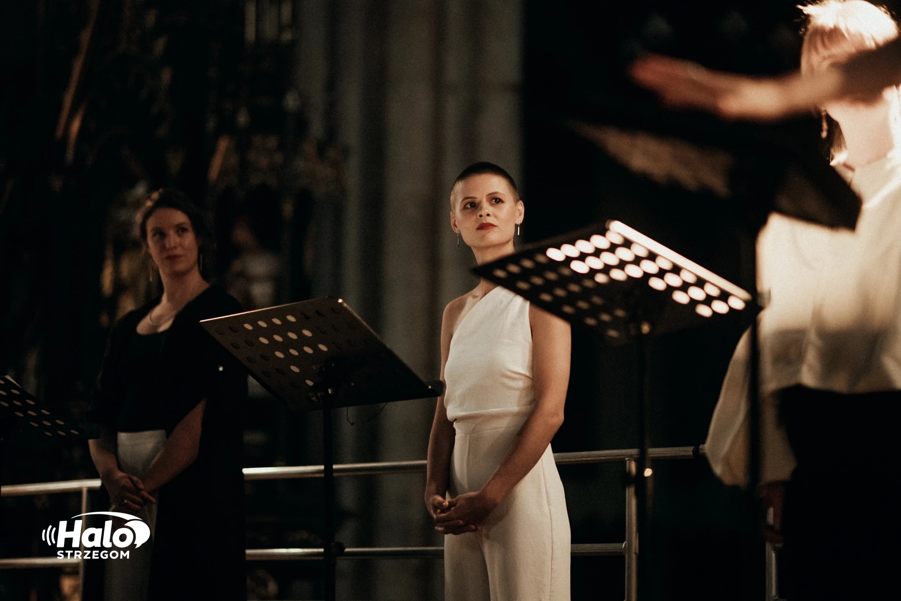 Strzegom A Cappella 2026 - relacja, zdjęcie 101