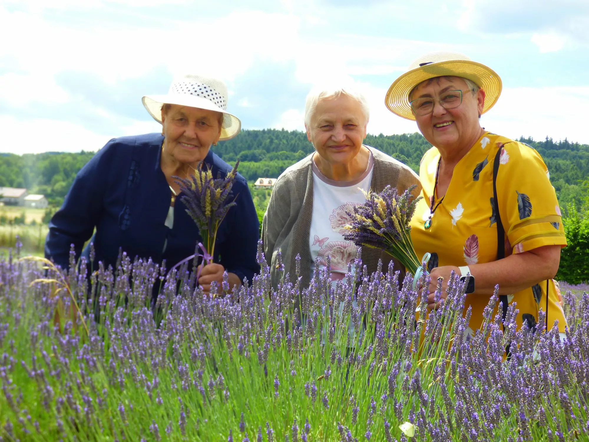 Fioletowy relaks u stóp Gór Sowich. Strzegomscy seniorzy z wizytą na plantacji lawendy - zdjęcie 1
