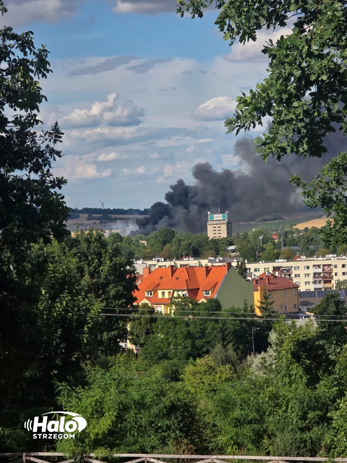 Pożar dawnych obiektów pokolejowych w Strzegomiu. Mieszkańcy proszeni o zamknięcie okien - zdjęcie 5