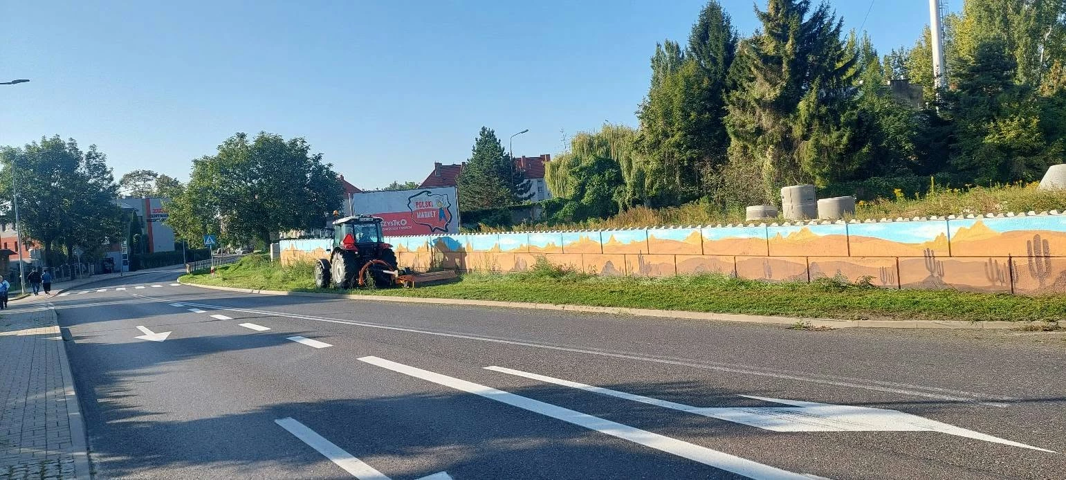 ZUK porządkuje zieleń wzdłuż DW382 w Strzegomiu - zdjęcie 2