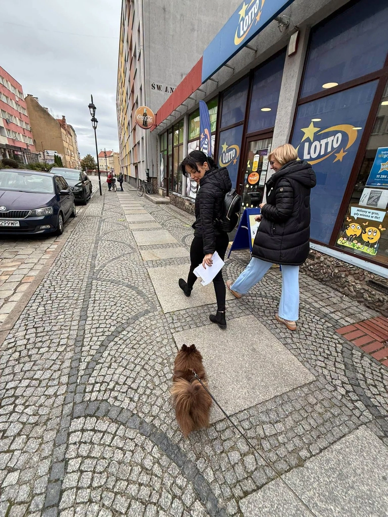 „Skarb Imbrama” połączył strzegomskie organizacje w terenie - zdjęcie 6
