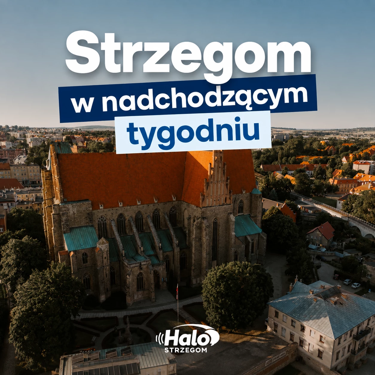 Co czeka mieszkańców Strzegomia w nadchodzącym tygodniu? Kalendarz 17-23 sierpnia