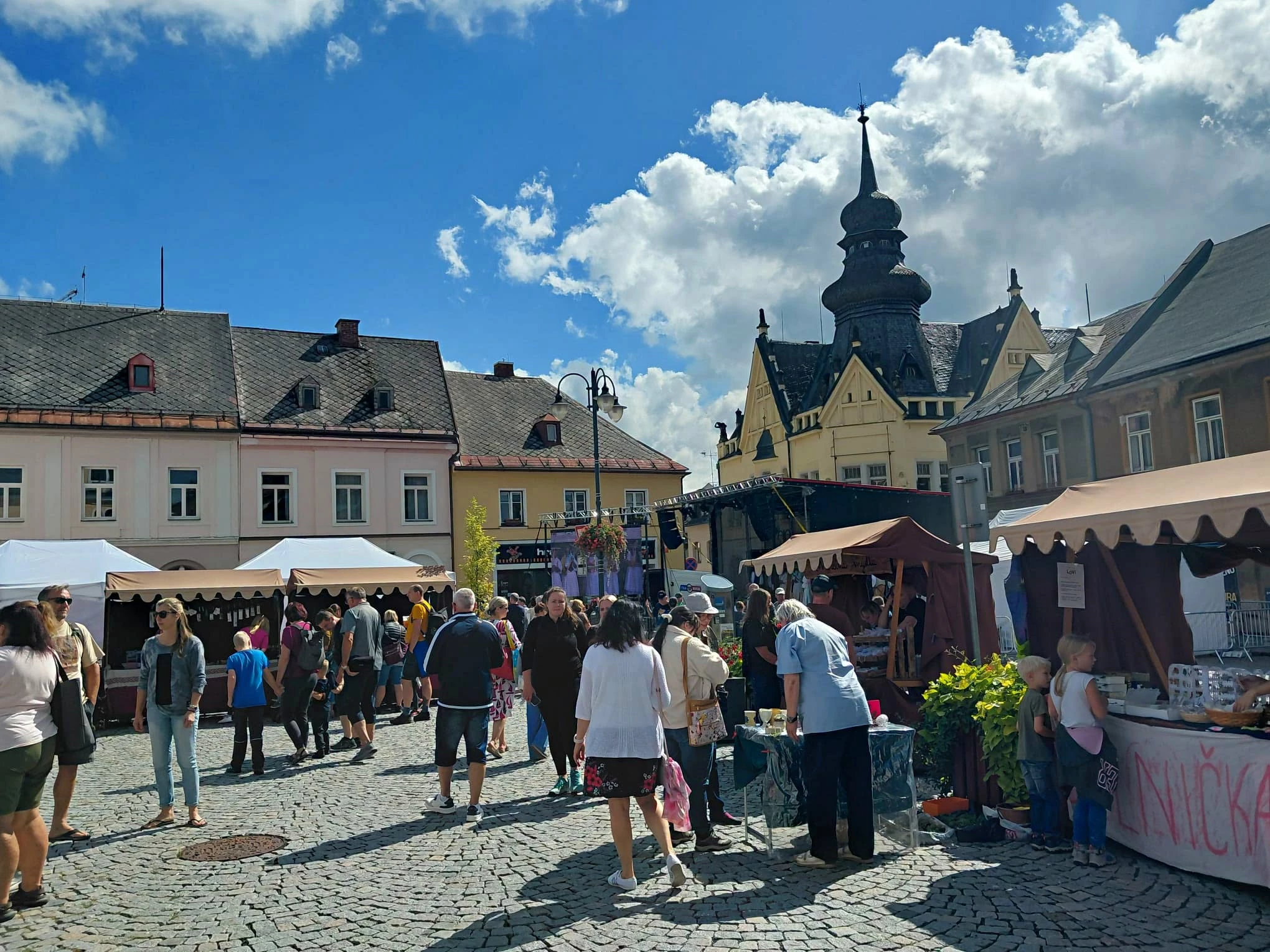 Strzegom wzmacnia współpracę z czeskimi Hořicami - zdjęcie 2