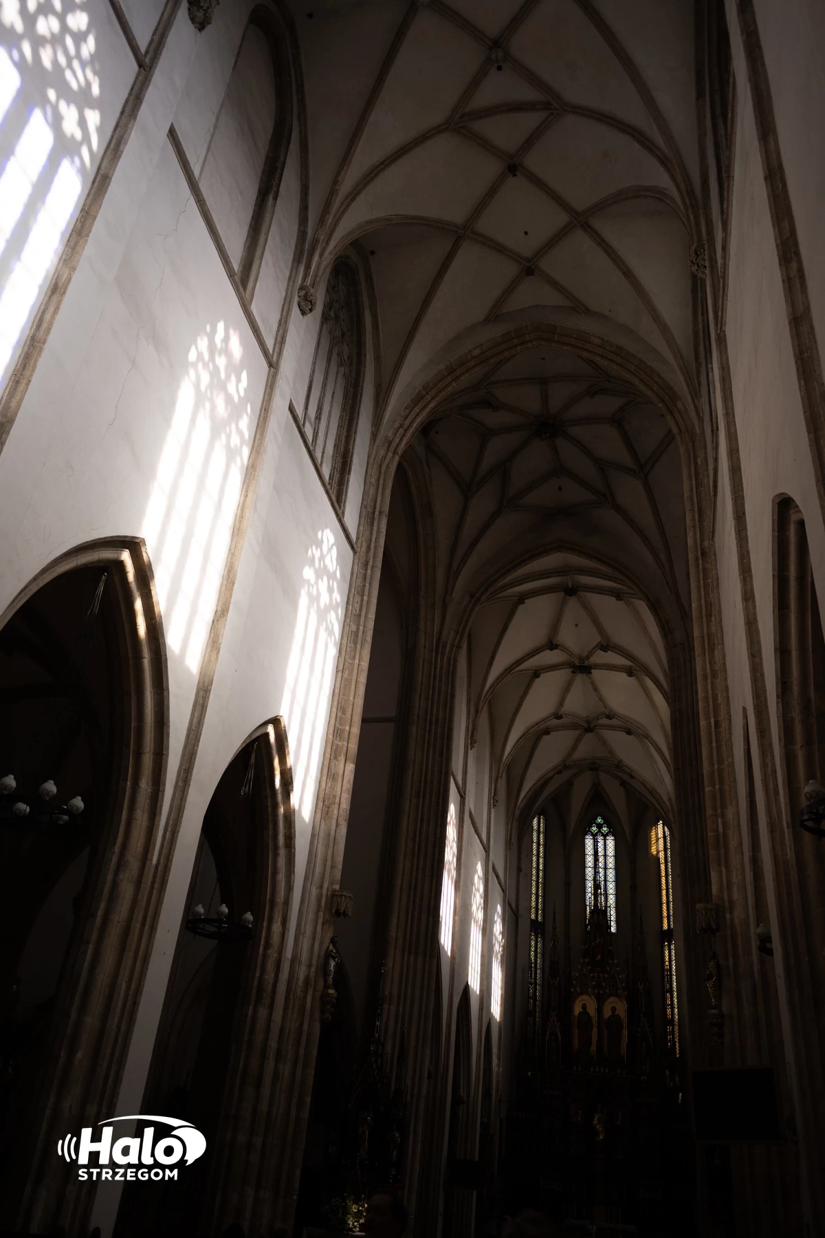 Kruszejąca tożsamość Strzegomia. Spacer śladami znikającej historii - zdjęcie 5