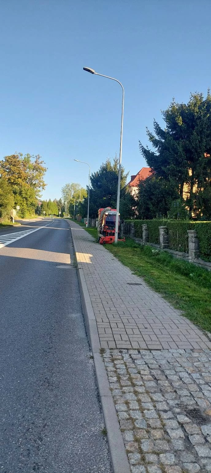 ZUK porządkuje zieleń wzdłuż DW382 w Strzegomiu - zdjęcie 3