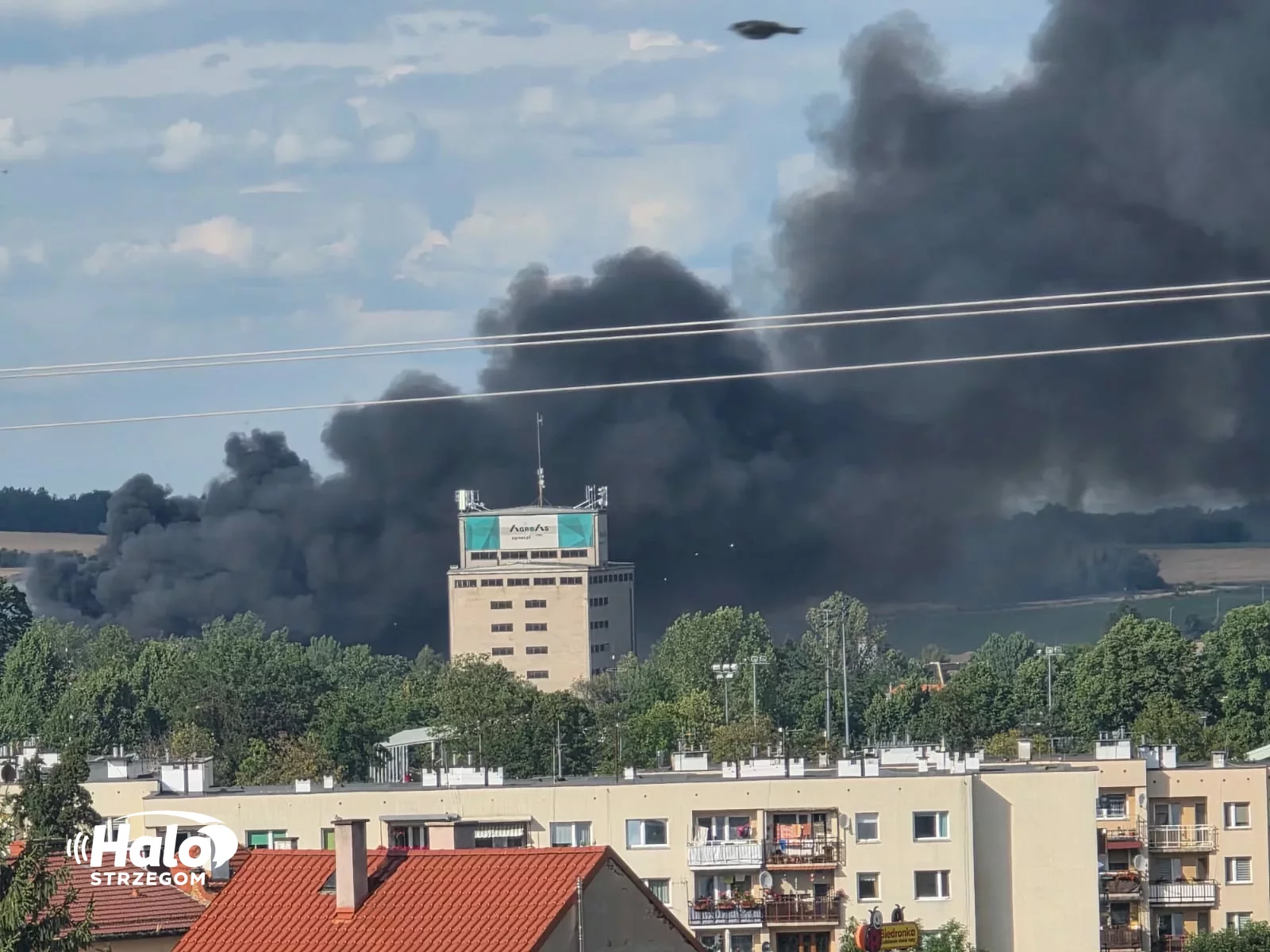 Pożar dawnych obiektów pokolejowych w Strzegomiu. Mieszkańcy proszeni o zamknięcie okien - zdjęcie 6
