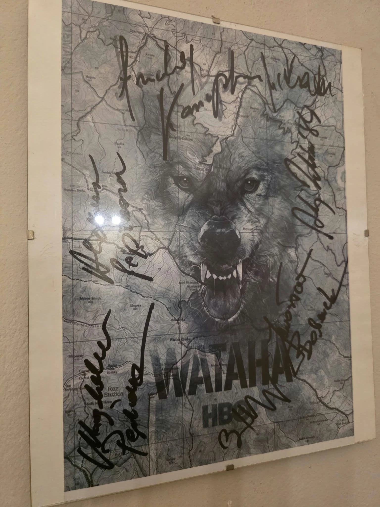 Ponad 10 tysięcy autografów na wystawie w Strzegomiu - zdjęcie 16