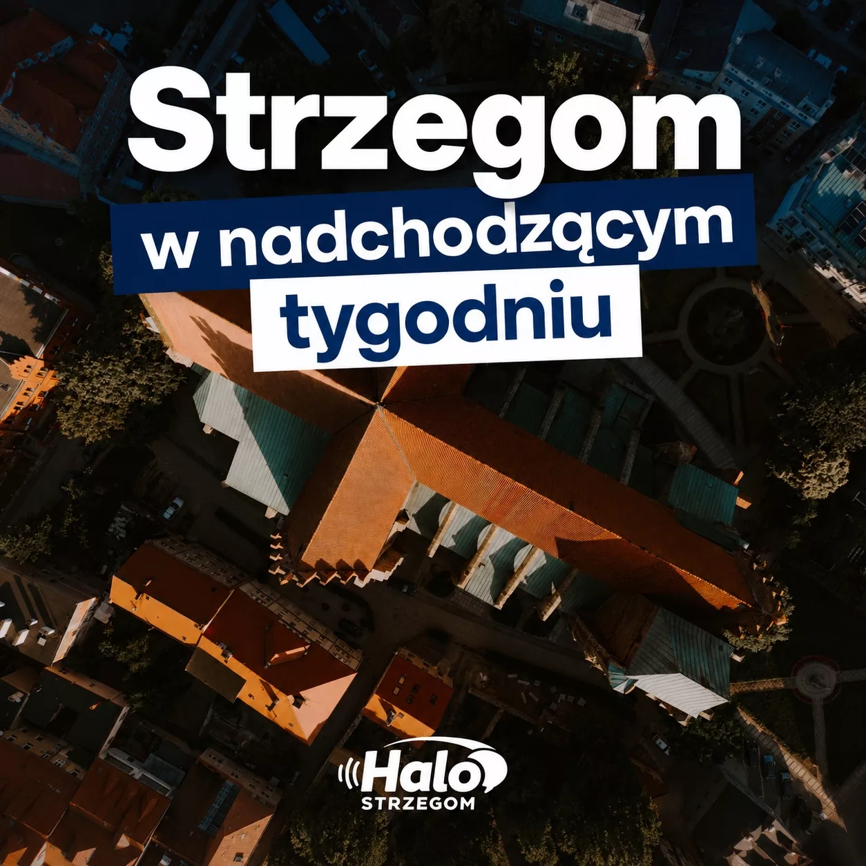 Co czeka mieszkańców Strzegomia w nadchodzącym tygodniu? Praktyczny kalendarz 20-26 lipca