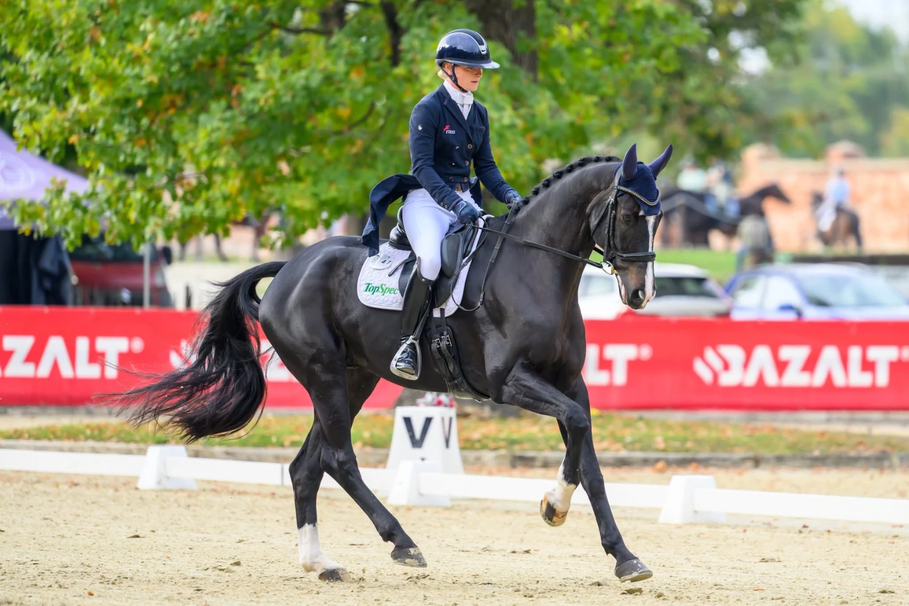 400 par w Morawie. Ruszył Strzegom October Festival - zdjęcie 1