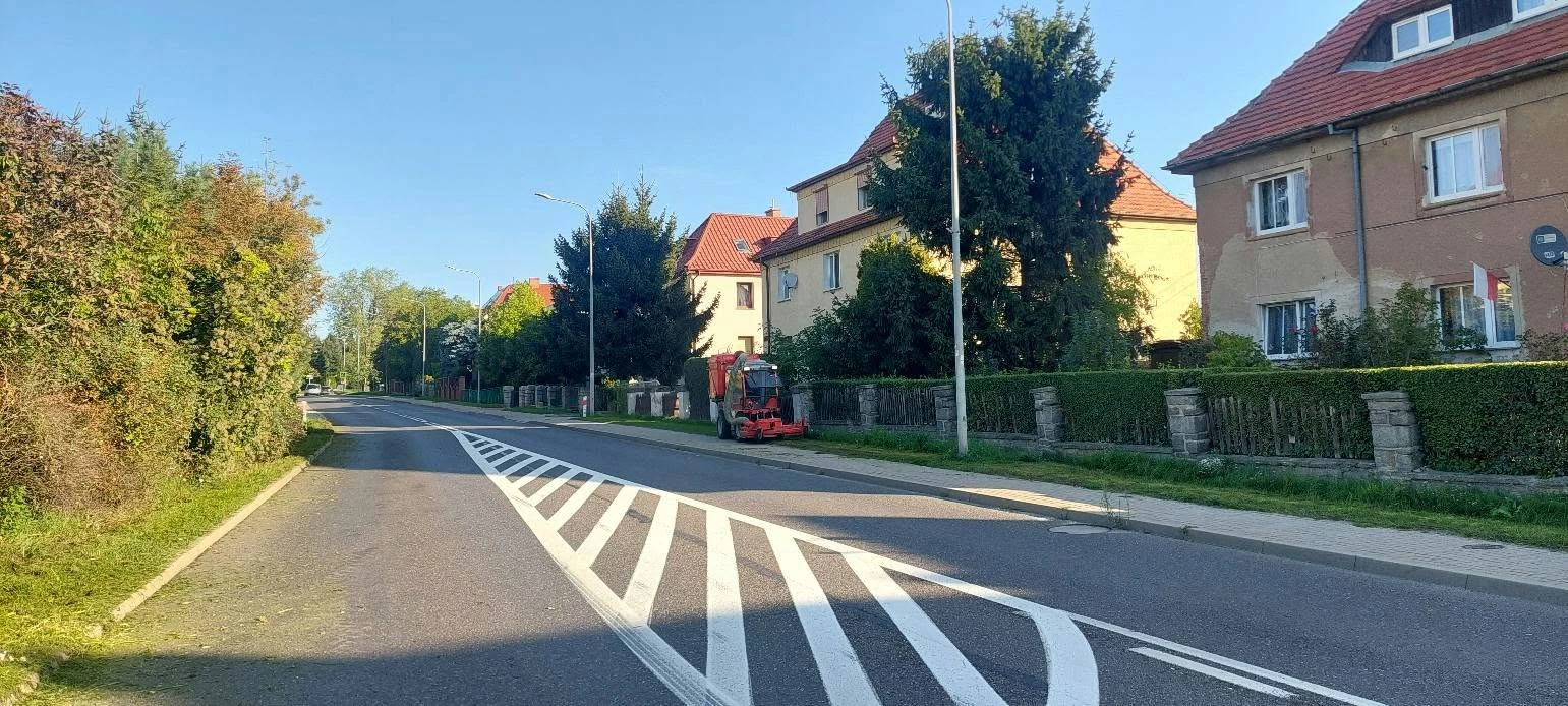 ZUK porządkuje zieleń wzdłuż DW382 w Strzegomiu - zdjęcie 1