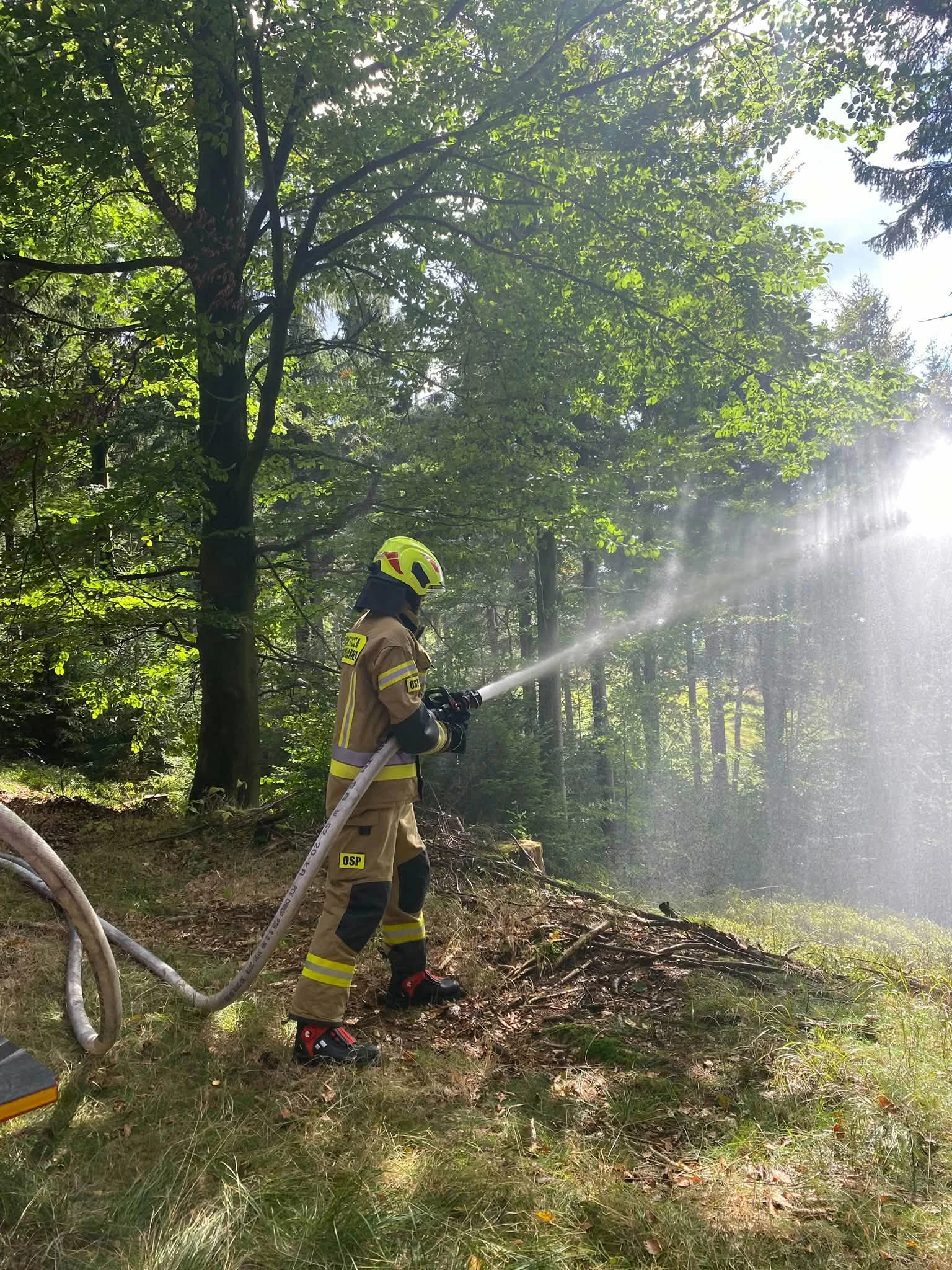 Strażacy z gminy Strzegom ćwiczyli w Górach Sowich - zdjęcie 9