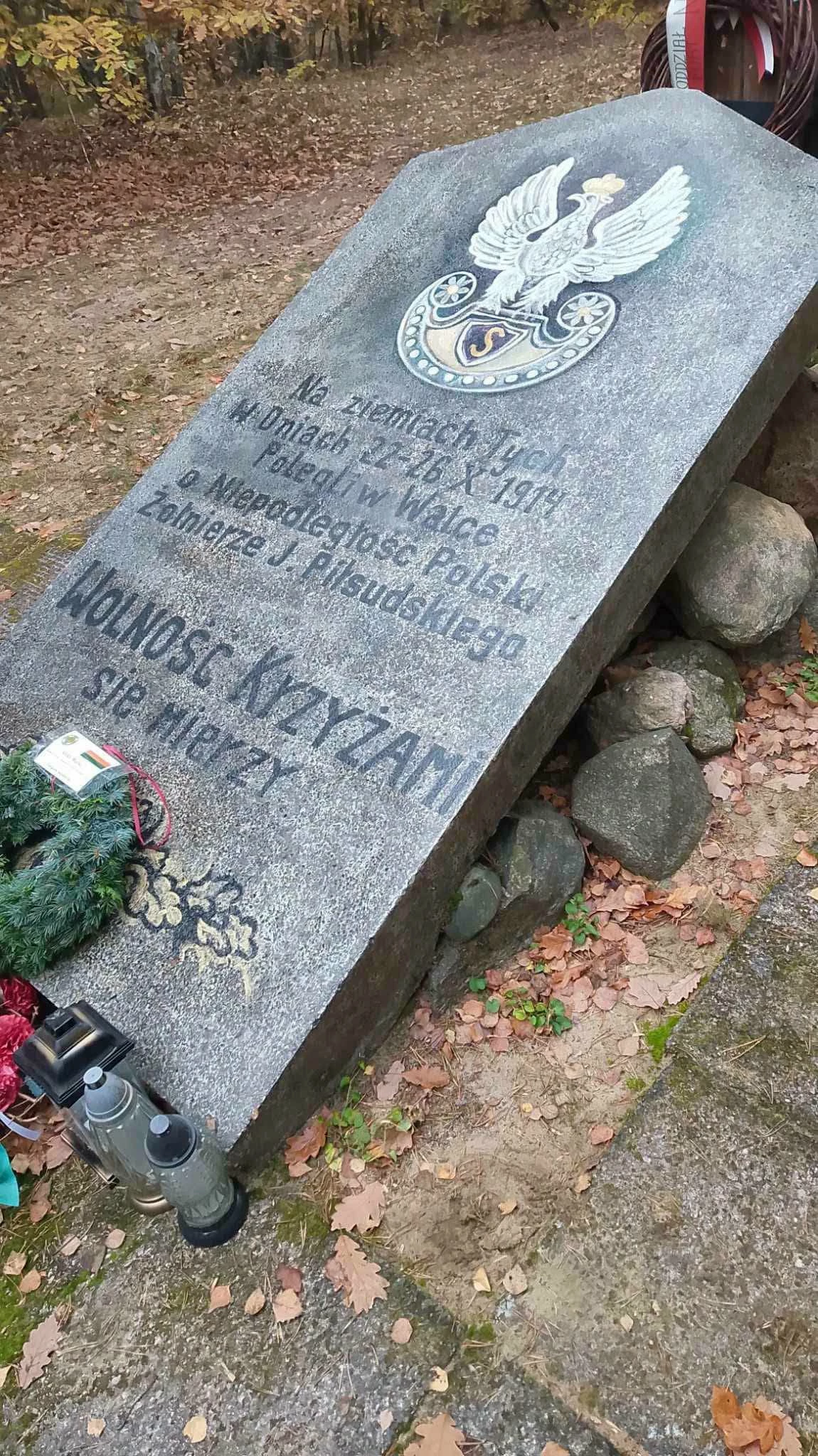 Marsz śladami Legionów Polskich z udziałem strzegomian - zdjęcie 10