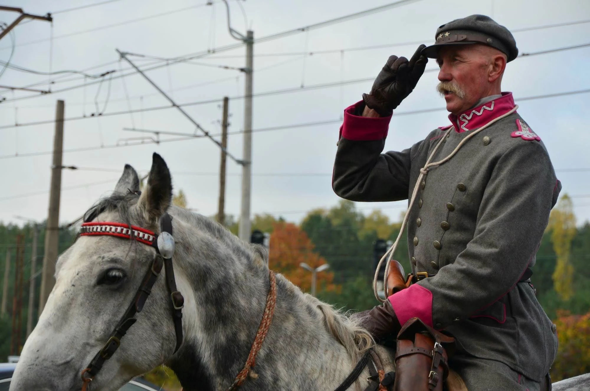 Marsz śladami Legionów Polskich z udziałem strzegomian - zdjęcie 15