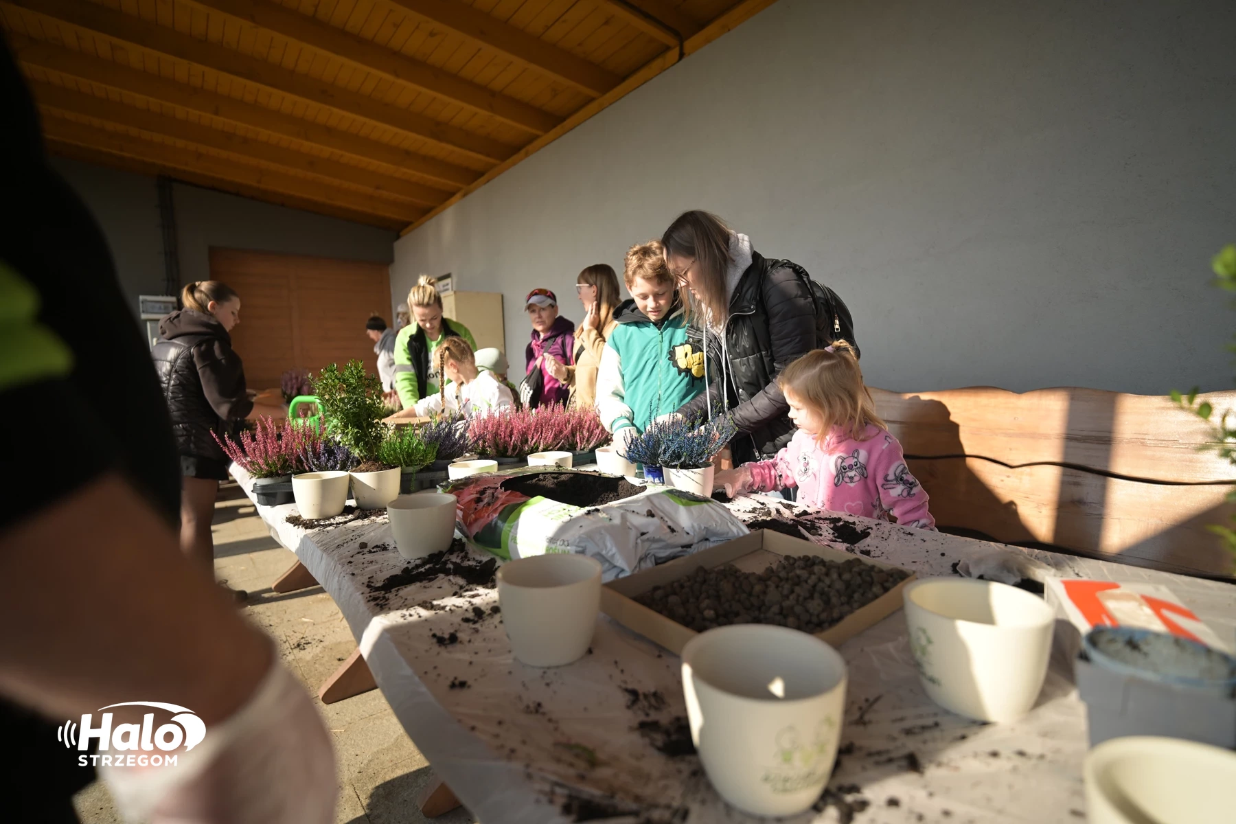 Rodzinny piknik na Granitowym Szlaku. Atrakcje dla najmłodszych - zdjęcie 2